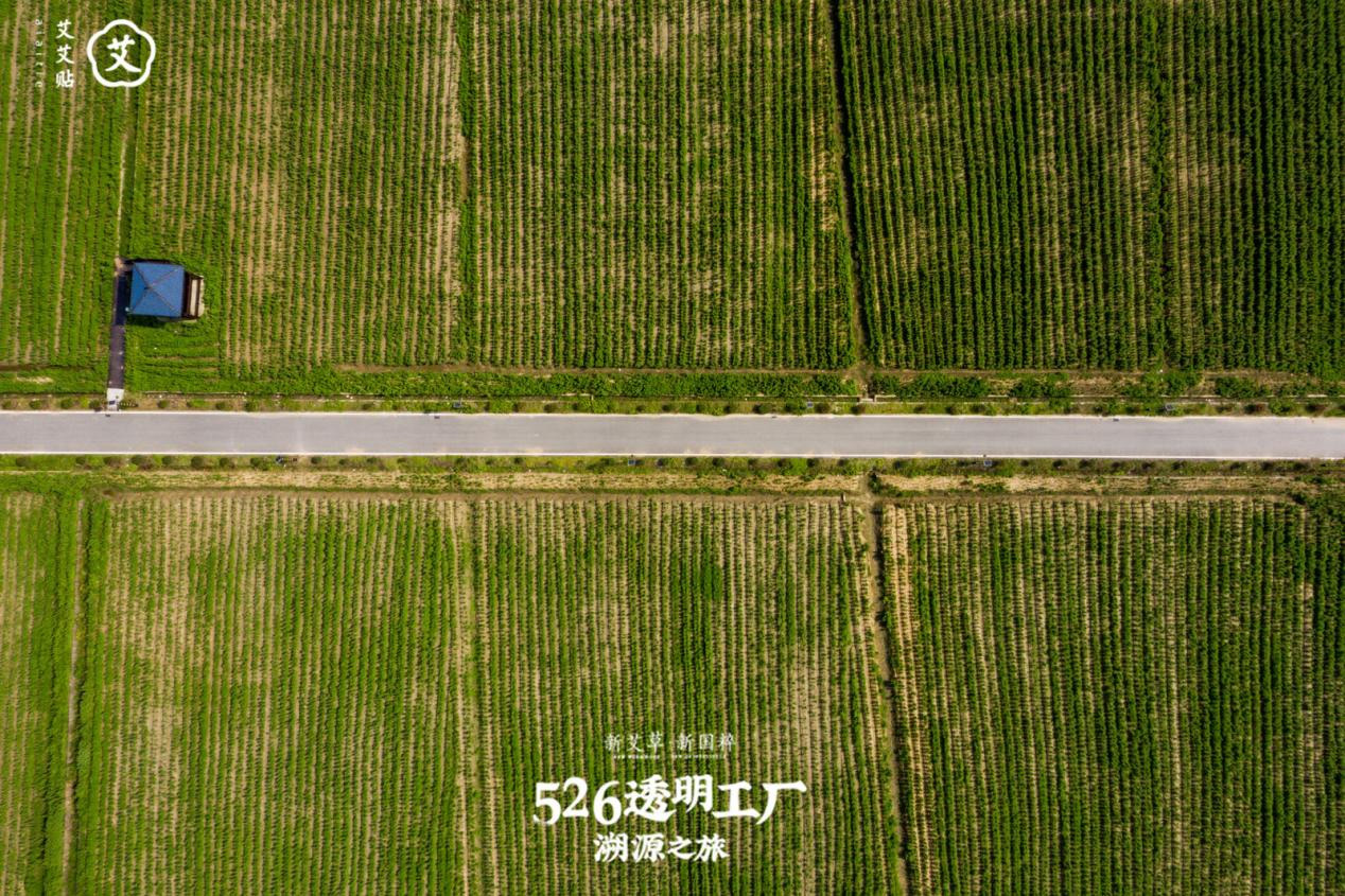 6：艾艾贴引领传统养生新潮流，国内大健康产业迎来新红利1