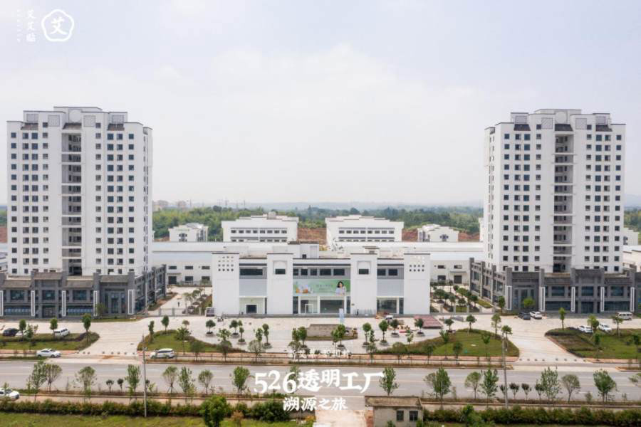 8：弘扬中华国粹，传承艾灸文化，艾艾贴纪念李时珍诞辰503周年3